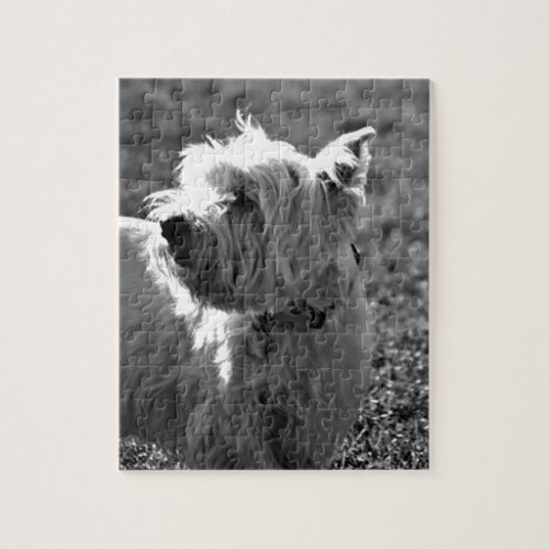 Adorable Westie Terrier Collection Jigsaw Puzzle