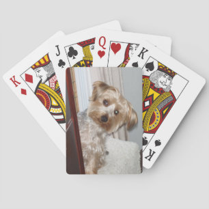Adorable Westie/Yorkie Poker Cards