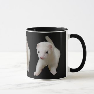 Adorable White Baby Ferret Cute Pet Lover