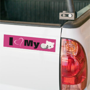 Adorable White Kitten Bumper Sticker