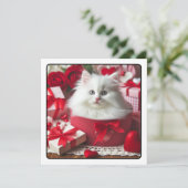 Adorable White Kitten in Box Funny Valentine  Holiday Card (Standing Front)