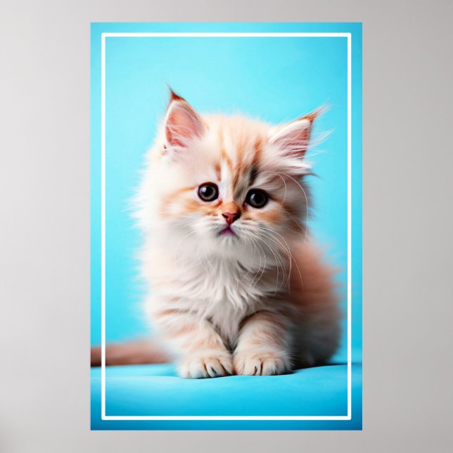 Adorable White Kitten Potrait-54971 Poster (Front)