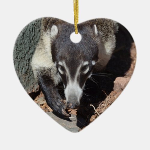 Adorable White Nosed Coati Ceramic Ornament