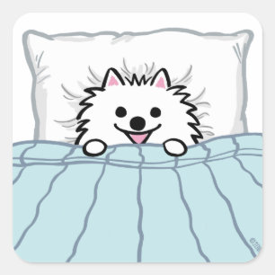 Adorable White Pomeranian Dog Tucked in Bed Square Sticker