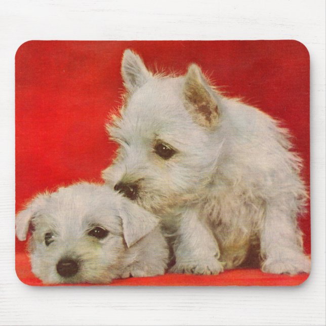 adorable white terrier puppies mouse pad (Front)