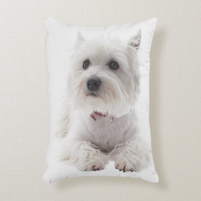 west highland terrier pillow