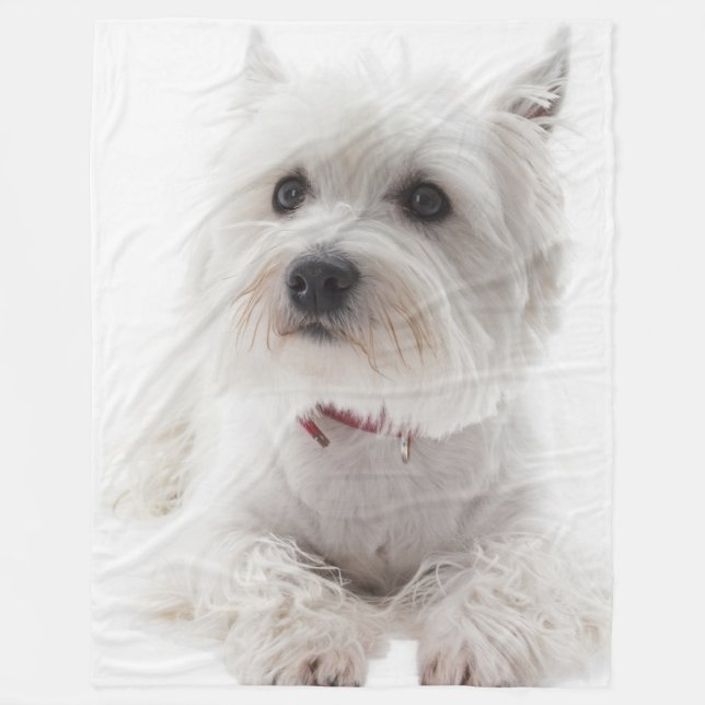 Adorable White West Highland Terrier Fleece Blanket (Front)