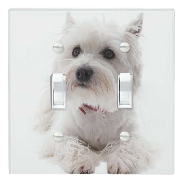 Adorable White West Highland Terrier Light Switch Cover (In Situ)