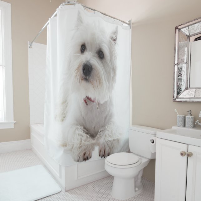 Adorable White West Highland Terrier Shower Curtain (In Situ)