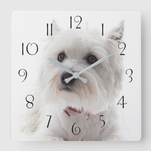Adorable White West Highland Terrier Square Wall Clock