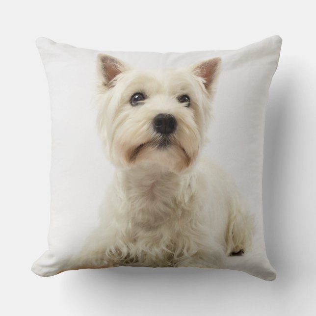 Adorable White West Highland Terrier Throw Pillow (Front)