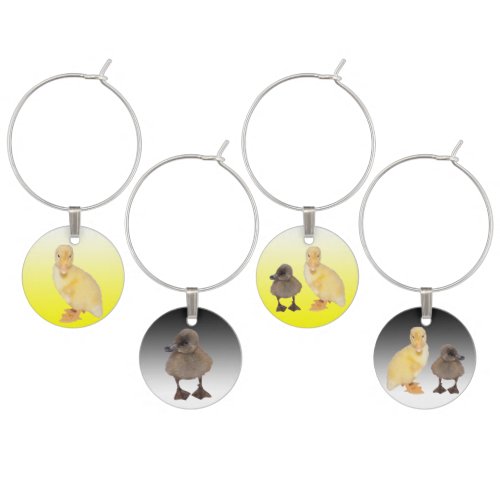 Adorable Yellow and Gray Duckling Photographs Wine Glass Charm