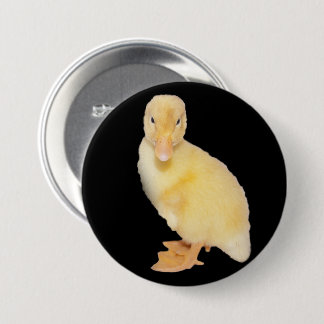 Adorable Yellow Duckling Close-Up Photograph Button