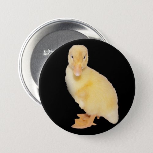Adorable Yellow Duckling Close_Up Photograph Button
