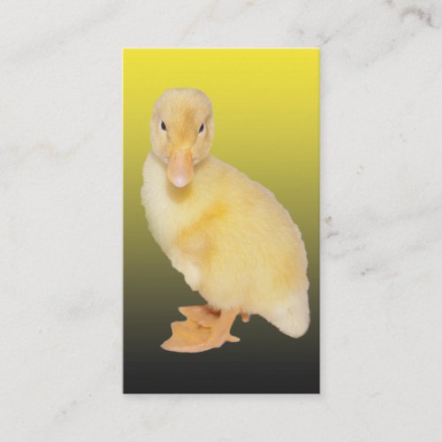 Adorable Yellow Duckling Photograph Business Card