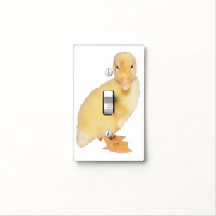 Adorable Yellow Duckling Photograph Light Switch Cover