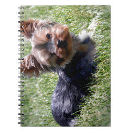 Adorable Yorkie Multiple Products Selected Notebook