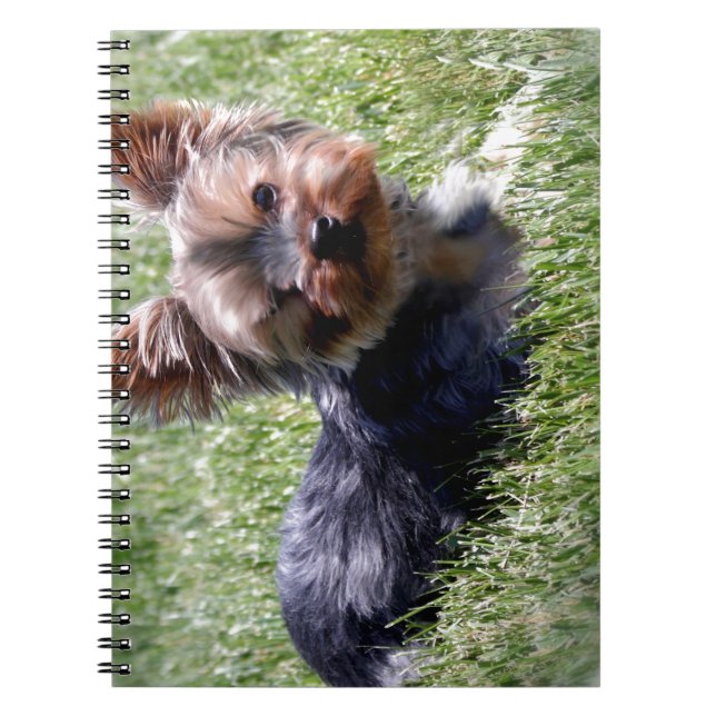 Adorable Yorkie Multiple Products Selected Notebook (Front)