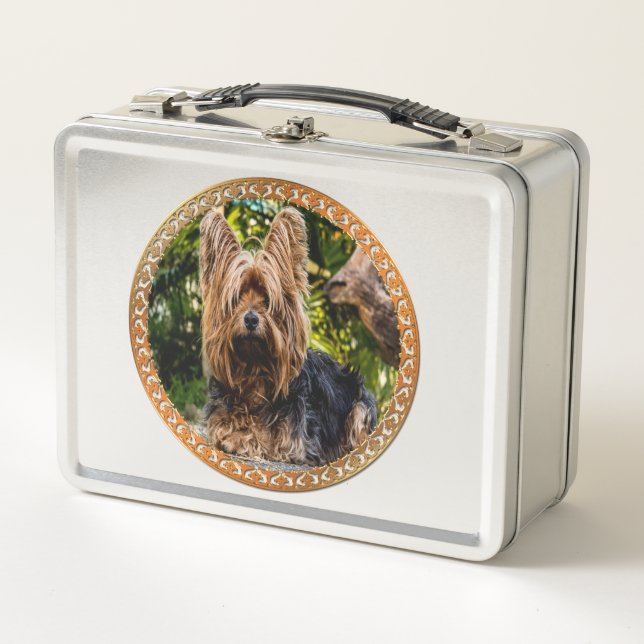 Adorable Yorkshire brown and black terrier Metal Lunch Box (Front)