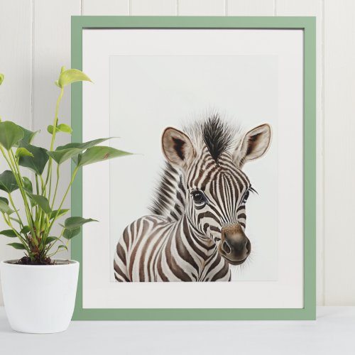 Adorable Zebra  Baby Nursery Jungle Safari   Poster
