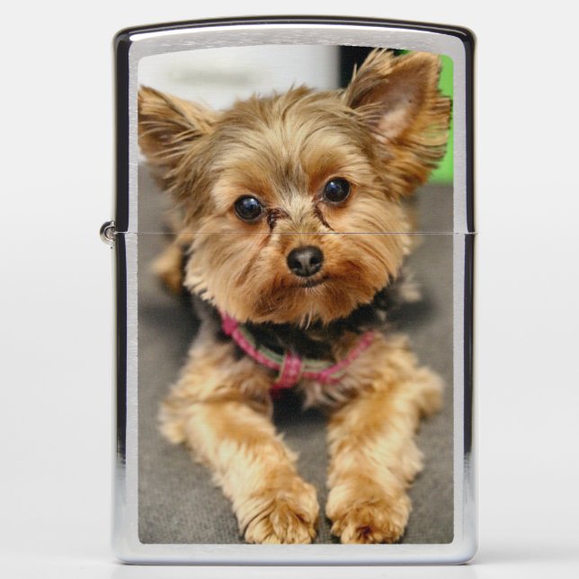 Adorable  zippo lighter (Front)