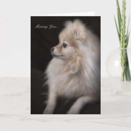 Adorably Cute Posing Pomeranian Puppy Card