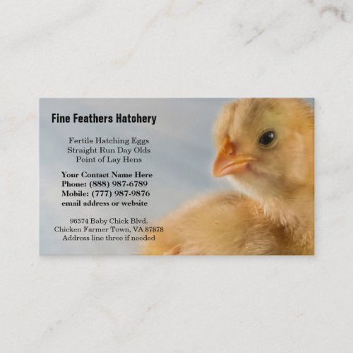 Adorably Cute Yellow Baby Chick Photo Business Card Templates