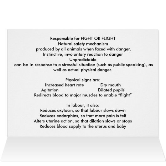 ADRENALINE, FIGHT OR FLIGHT (Inside Horizontal (Top))