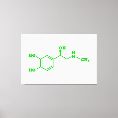 Adrenaline Molecular Chemical Formula Canvas Print
