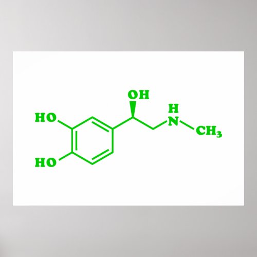 Adrenaline Molecular Chemical Formula Poster