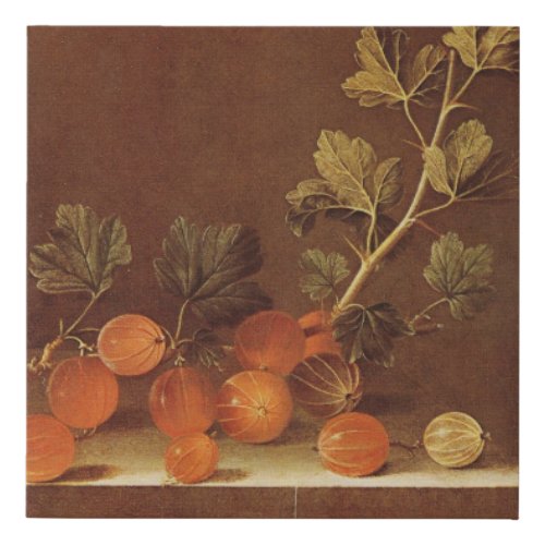 Adriaen Coorte _ Spray of Gooseberries on a Stone  Faux Canvas Print