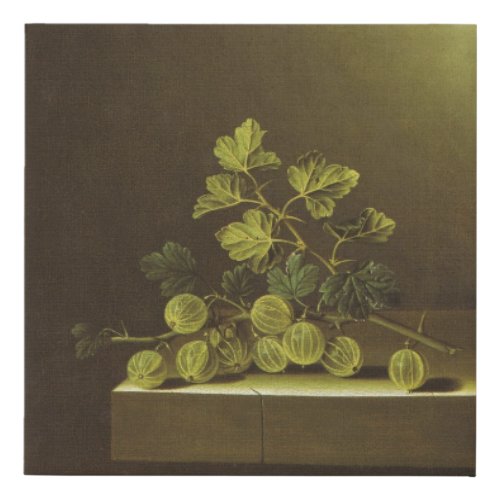 Adriaen Coorte _ Spray of Green Gooseberries on a  Faux Canvas Print