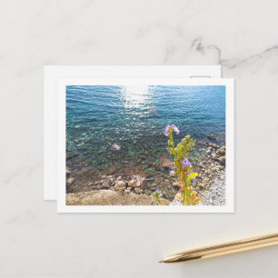 Adriatic Sea with Bellflower in summer Montenegro  Postcard