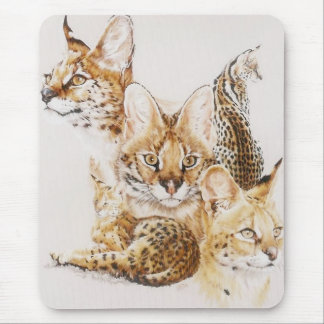 Adroit Mouse Pad