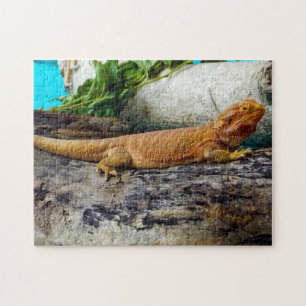 Adult Bearded Dragon Lizard Jigsaw Puzzle