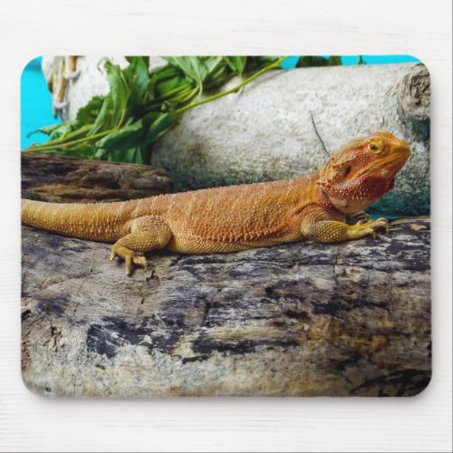 Adult Bearded Dragon Lizard Mouse Pad