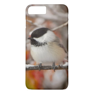 Adult Black-capped Chickadee in Snow iPhone 8 Plus/7 Plus Case