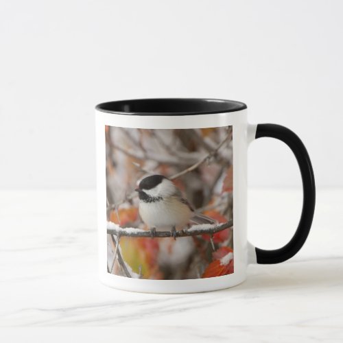 Adult Black_capped Chickadee in Snow Grand Mug