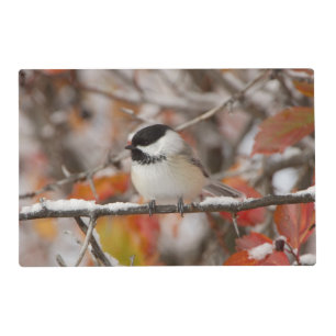 Adult Black-capped Chickadee in Snow Placemat