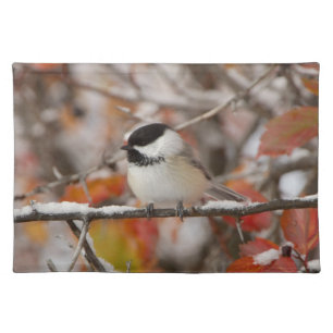 Adult Black-capped Chickadee in Snow Placemat