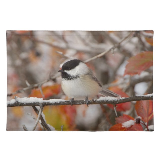 Adult Black-capped Chickadee in Snow Placemat (Front)