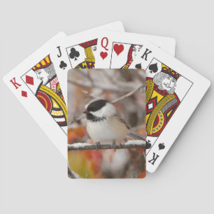 Adult Black-capped Chickadee in Snow Poker Cards