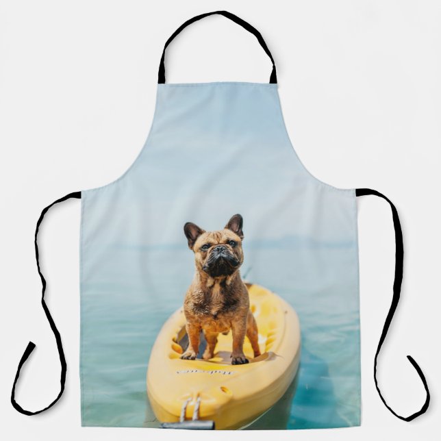 Adult brown French bulldog standing on kayak Apron (Front)
