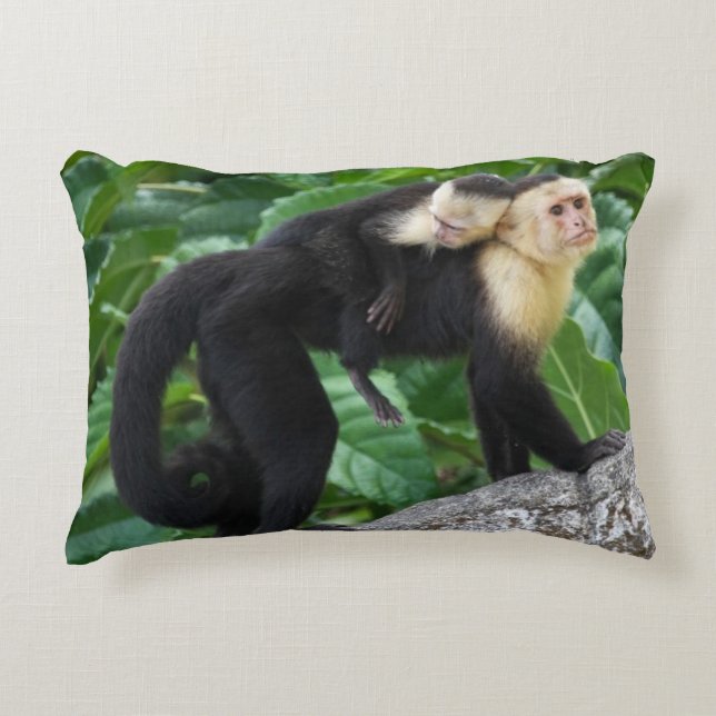 Adult Capuchin Monkey Carrying Baby On Its Back Accent Pillow (Front)