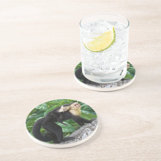 Adult Capuchin Monkey Carrying Baby On Its Back Drink Coaster (Side)