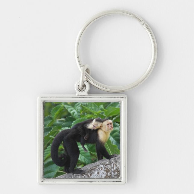 Adult Capuchin Monkey Carrying Baby On Its Back Keychain (Front)