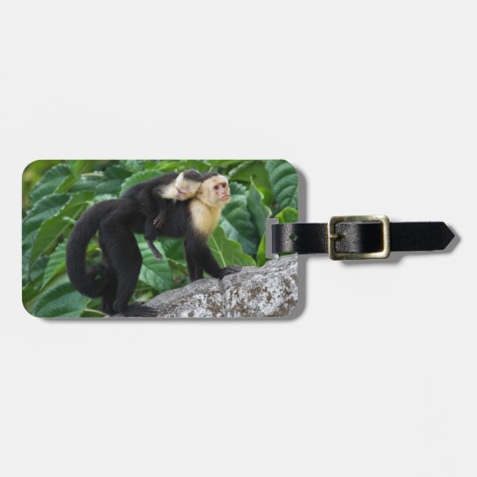 Adult Capuchin Monkey Carrying Baby On Its Back Luggage Tag