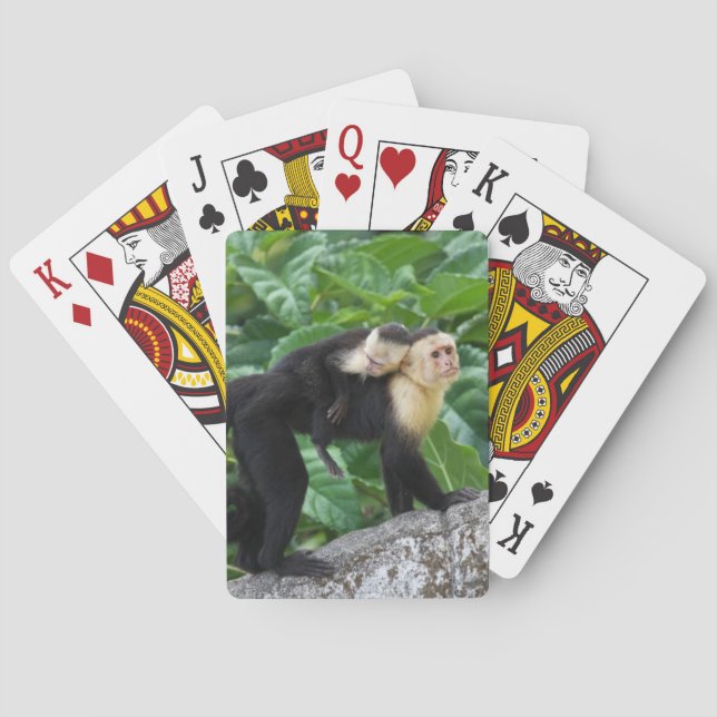 Adult Capuchin Monkey Carrying Baby On Its Back Poker Cards (Back)