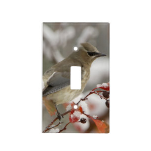 Adult Cedar Waxwing on hawthorn with snow Light Switch Cover