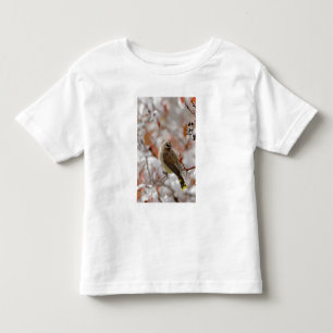 Adult Cedar Waxwing on hawthorn with snow, Toddler T-shirt